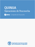 Послеуборочная обработка квиноа 